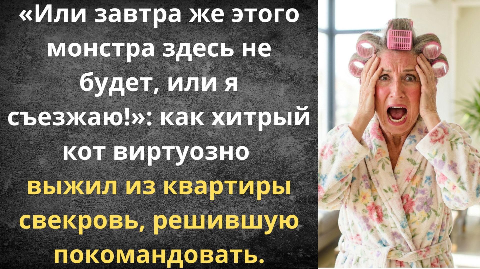 Свекровь решила покомандовать, но вмешался кот | Истории из жизни