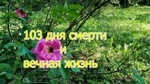 103 дня смерти и вечная жизнь
