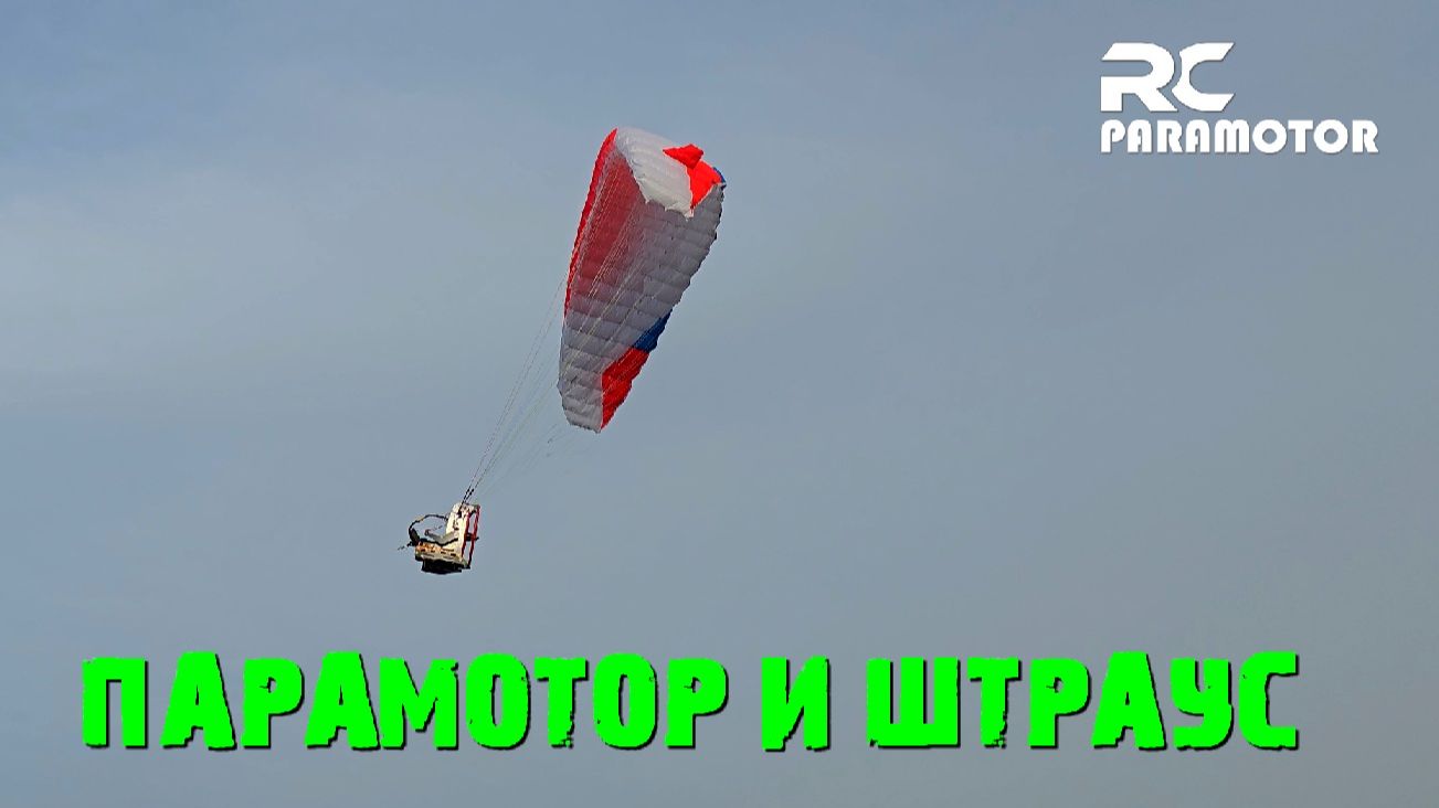 Параплан и Штраус.