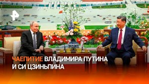 Путин и Си Цзиньпин побеседовали за чаем