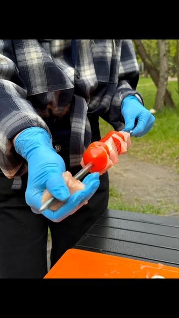 Шашлыки на природе