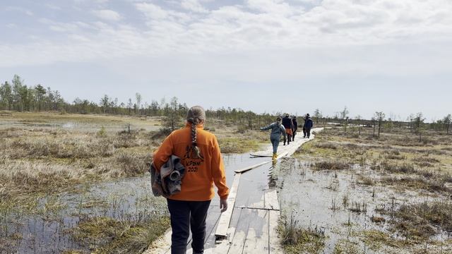 Беларусские болота