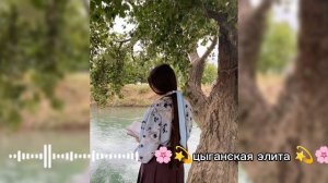 новая ☘️🧿цыганская песня 2026 года ищют все Берëзы ⚜️🥀райкано для души??? 🍫🙃
