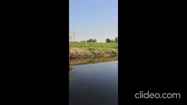 КОТТЕДЖ 320 М² НА УЧАСТКЕ 13 СОТ.