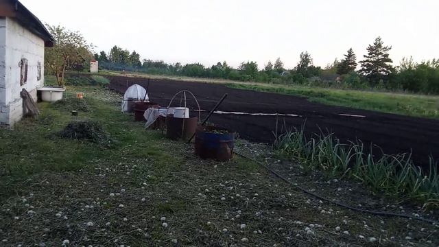ДВА ДНЯ из ЖИЗНИ ПЕНСИОНЕРКИ в деревне на огороде