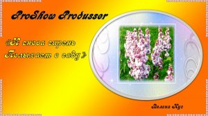 И снова сирень полыхает в саду / ProShow Produsser