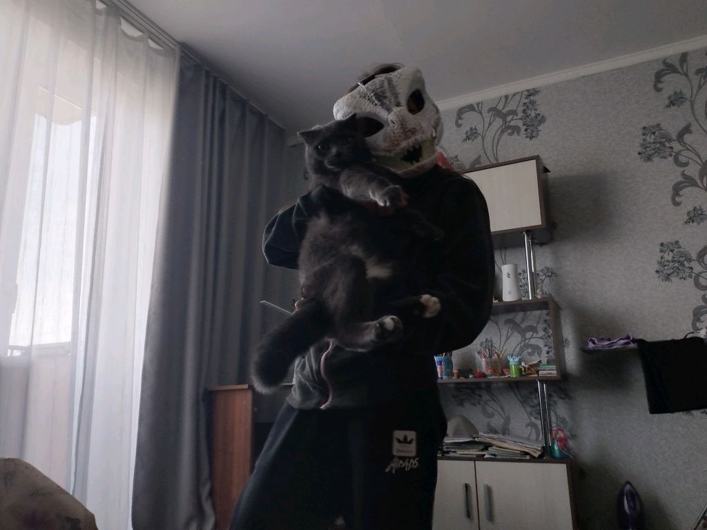 трансляция квадроберов