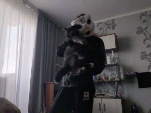 трансляция квадроберов