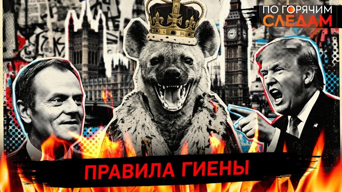 Правила гиены