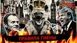 Правила гиены
