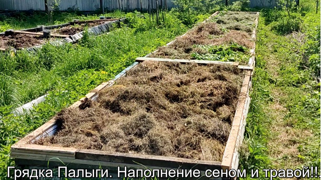 Грядка Палыги. Наполнение сеном и травой!!