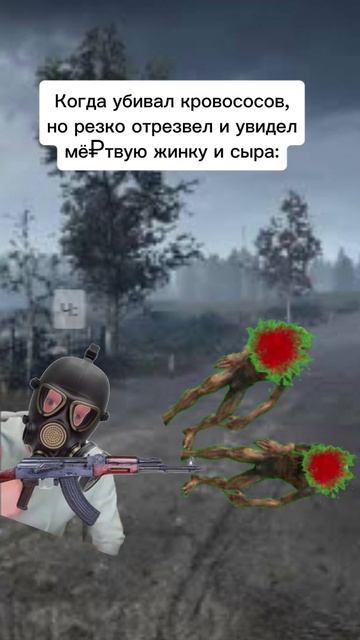 БЫЛО? (зона отчуждения)
