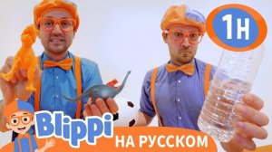 Песня То или Это. Изучай этот мир вместе с Блиппи. Обучающие видео для детей. Blippi Russian