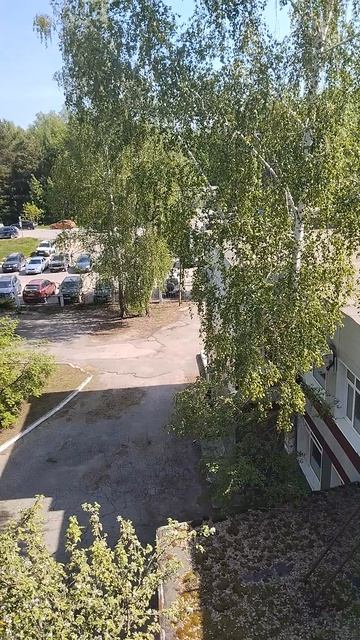 Из окна ЦРБ.