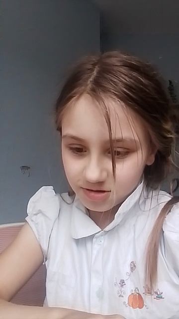 делаем УЗИ Лоле