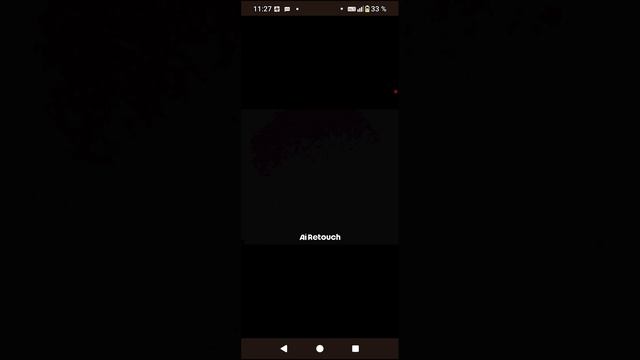 песня бедная галка и злобный медведь