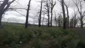 Кинул побратима и был таков!