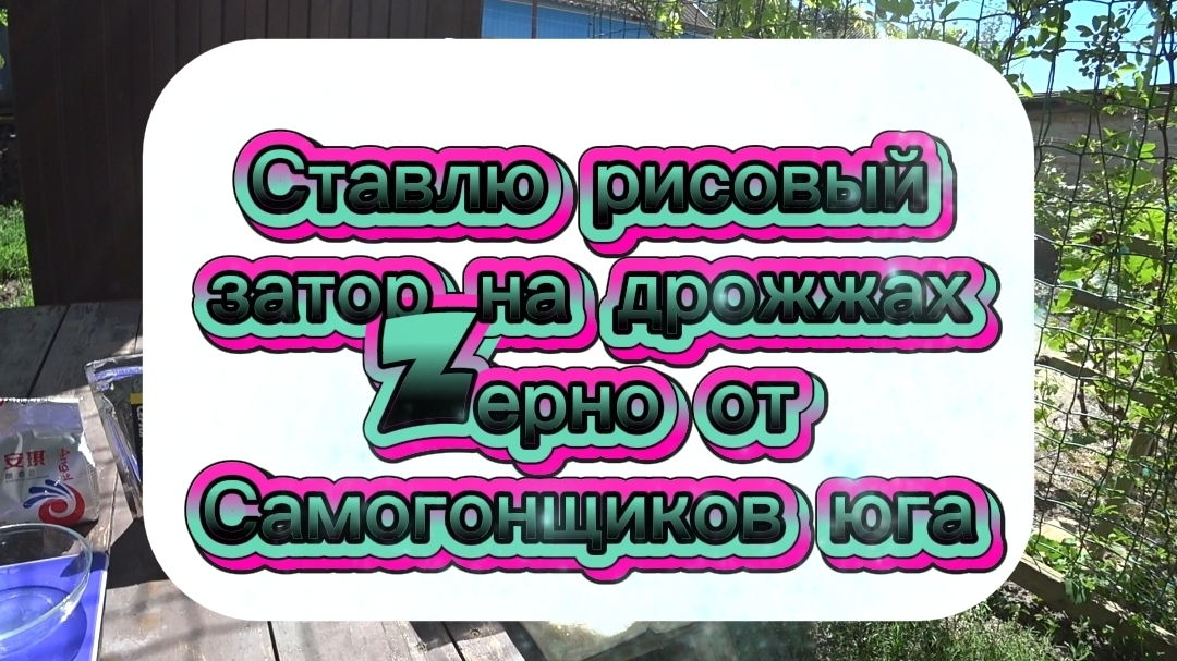 Ставлю рисовый затор на дрожжах Зерно от Самогонщиков юга