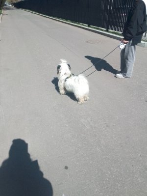 гуляем