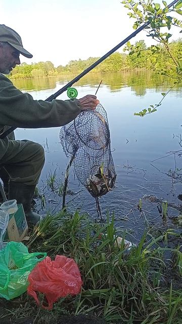 рыбалка в Каменке рядом с домом