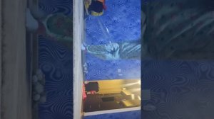 я занимаюсь