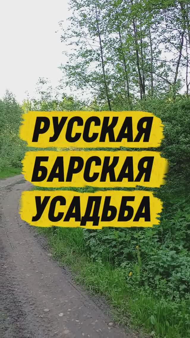 Русская барская усадьба. Нашёл порубленную гадюку ⏳️👀