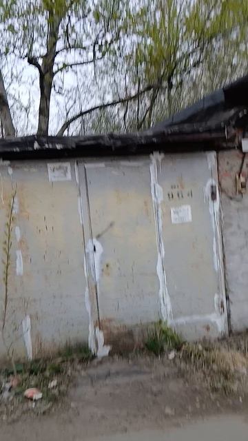 5776.mp4