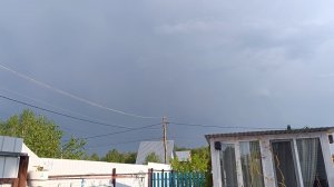 Готовим желе. Как собаки пережили грозу. Посадили новое растение🤗