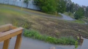 В Ростовской области стая собак отправила женщину в больницу, устроив забег по брусчатке

В станице