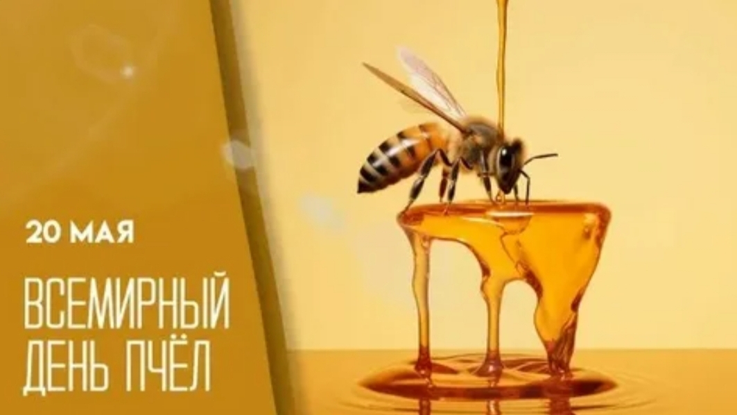 20.05.26 - Всемирный День пчёл