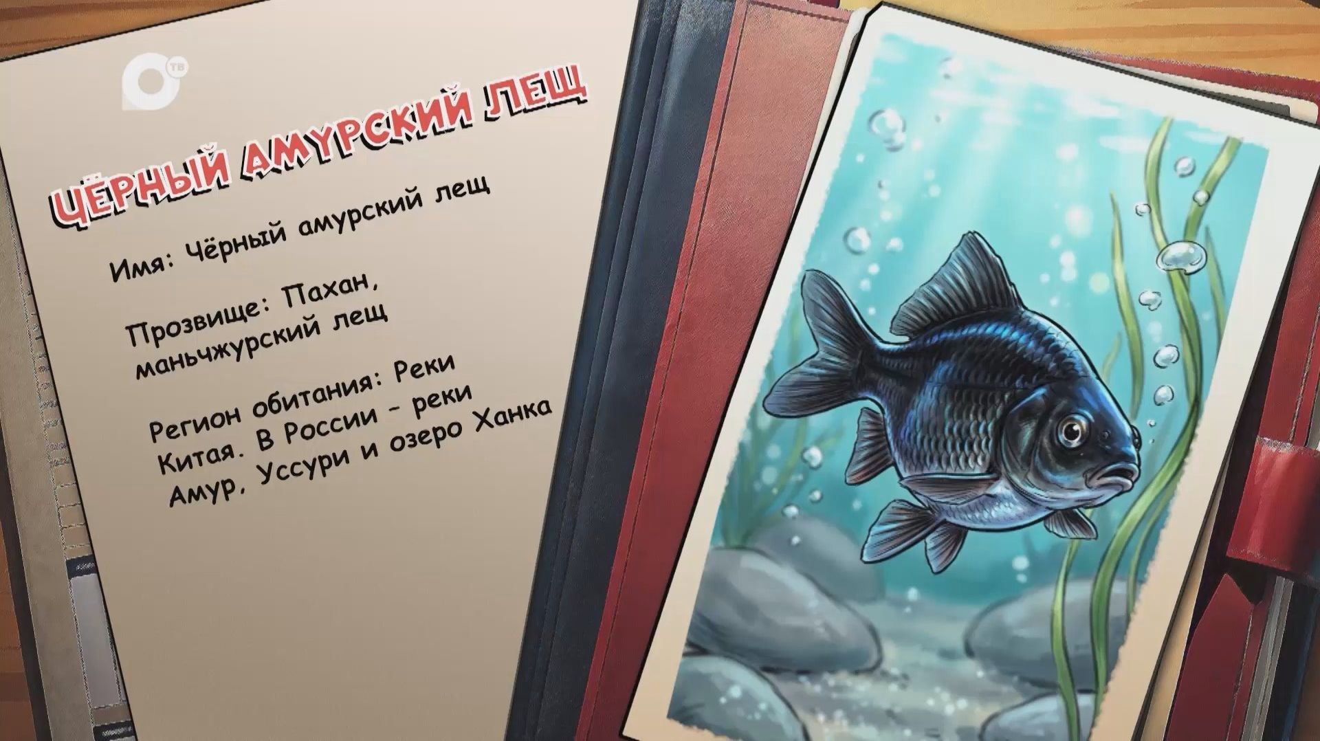 Агент биосферы / Чёрный амурский лещ / 20.05.26