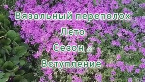 Вязальный переполох. Лето. Сезон 2. Вступление