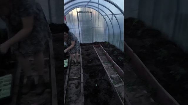 Моя Деревня Подготовка к картошке Помидоры Огурцы Вечер Пятницы