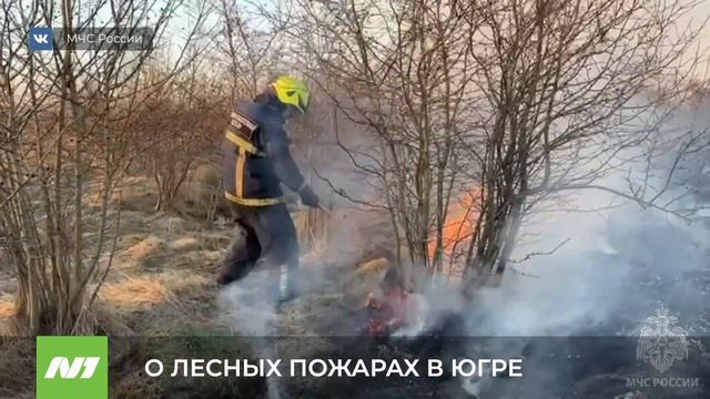 Прогноз по лесным пожарам в Нижневартовском районе.
