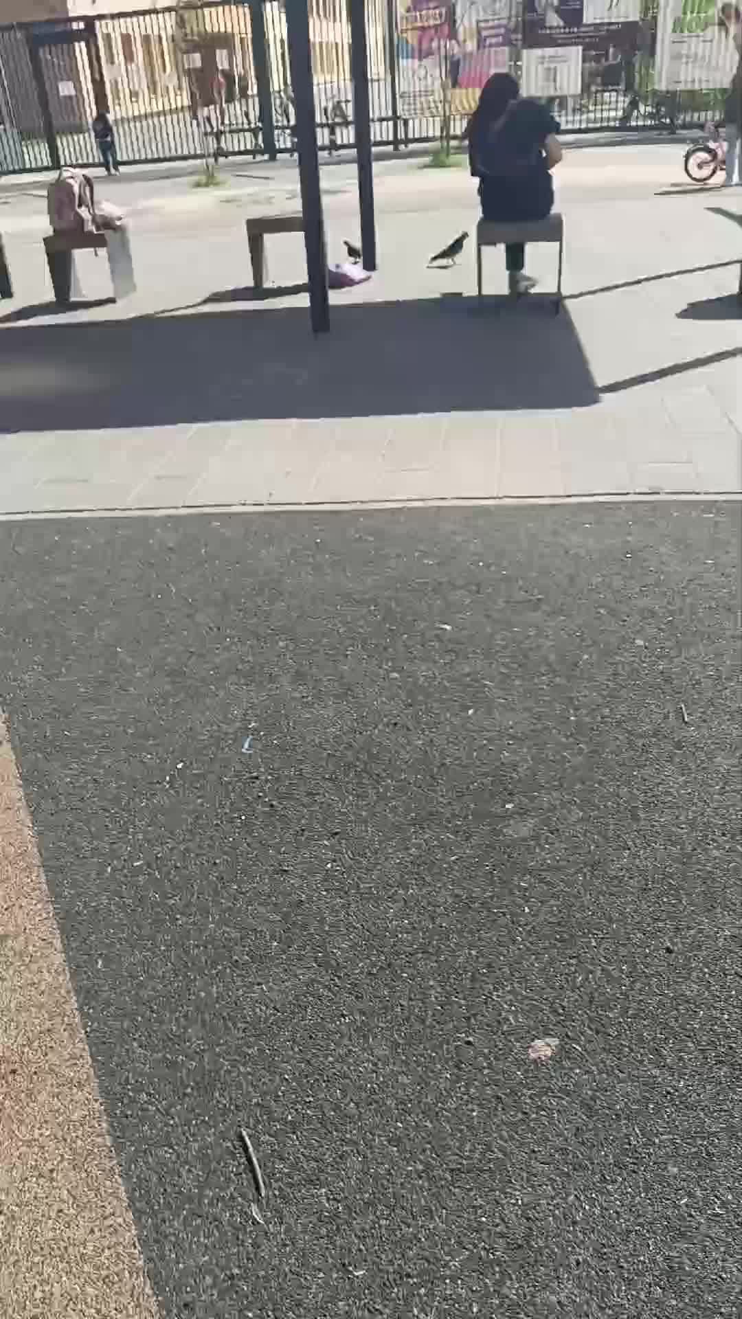 л