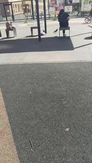 л