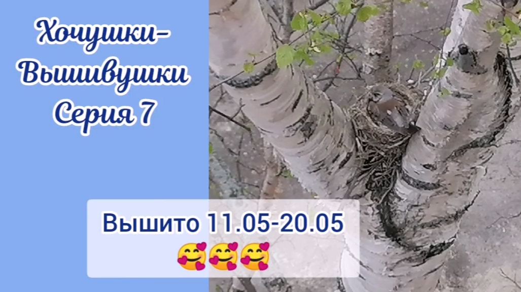 Хочушки-Вышивушки 7. Примитивы и семплеры. Вышито за 12.05-20.05.26