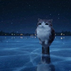 Я прохожу Back
