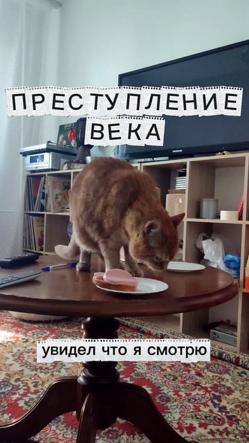 1000204299.mp4
