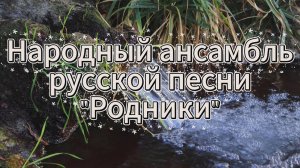 РОДНИКИ 21.04.2026