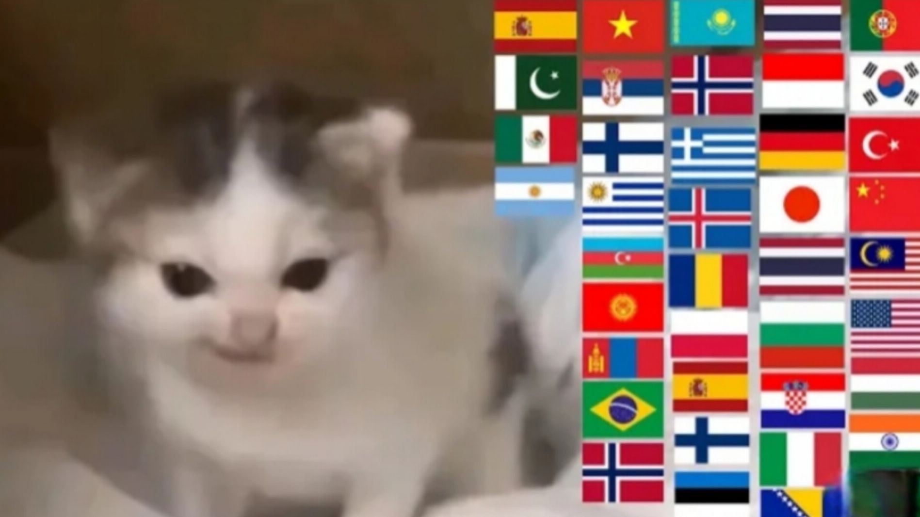 кот орёт таш-фан на разных языках
