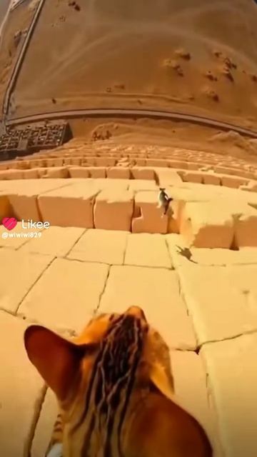 1000030581.mp4