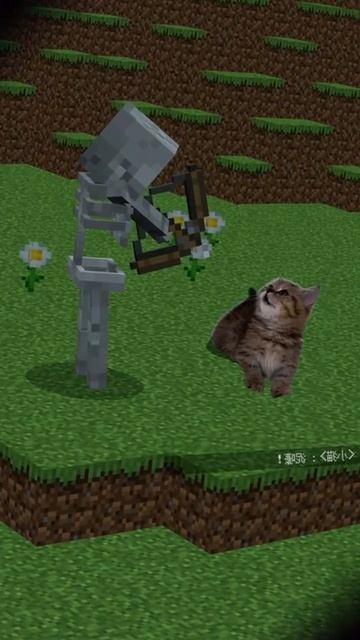 Бедный котик 😿