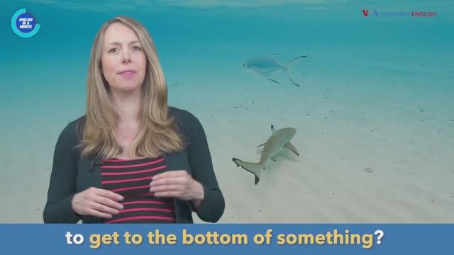 get to the bottom of it — американский английский, сленг и идиомы