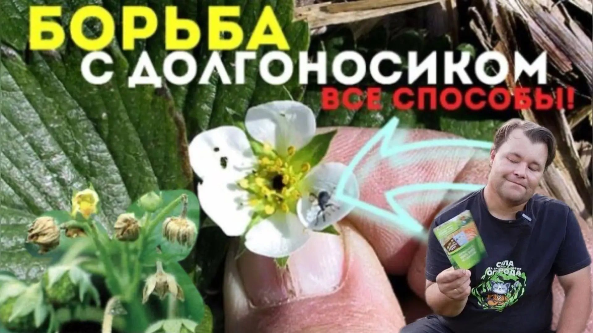 Избавился от долгоносика и белокрылки раз и на всегда.