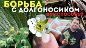 Избавился от долгоносика и белокрылки раз и на всегда.