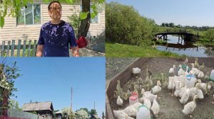 ВЛОГ /ДЕРЕВНЯ/НАШ НОВЫЙ ДЕНЬ В ДЕРЕВНЕ /МОСТ В НАШЕЙ ДЕРЕВНЕ