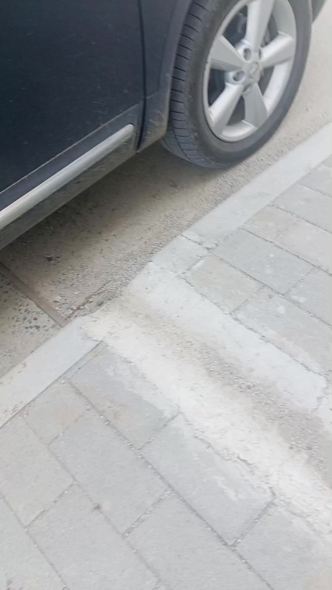 гуляю(не челлендж)