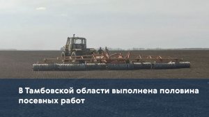 В Тамбовской области выполнена половина посевных работ