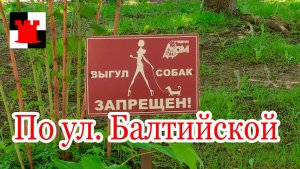 Милая сердцу улица Балтийская
